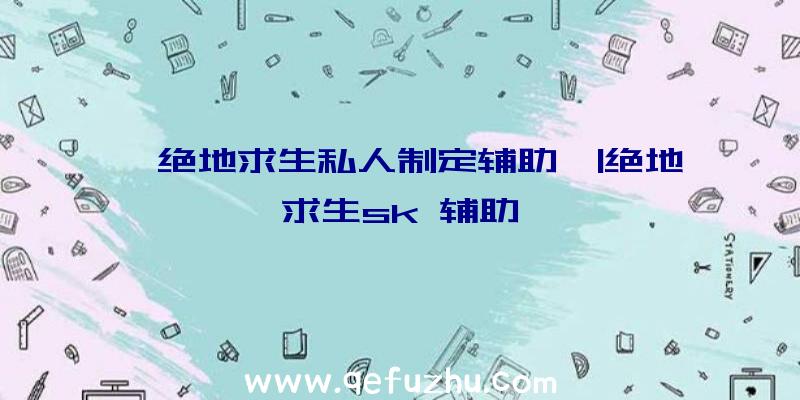 「绝地求生私人制定辅助」|绝地求生sk